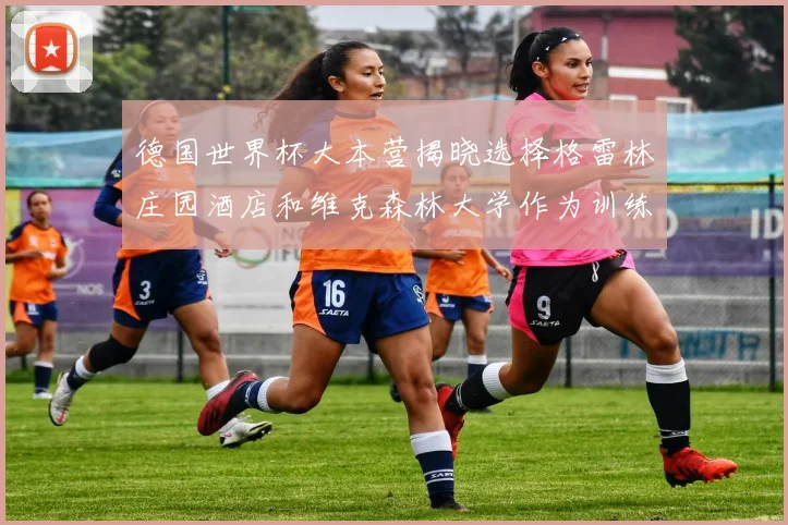 德国世界杯大本营揭晓选择格雷林庄园酒店和维克森林大学作为训练基地