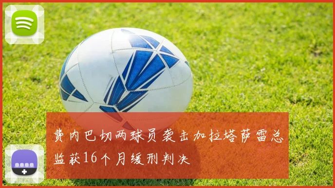 费内巴切两球员袭击加拉塔萨雷总监获16个月缓刑判决
