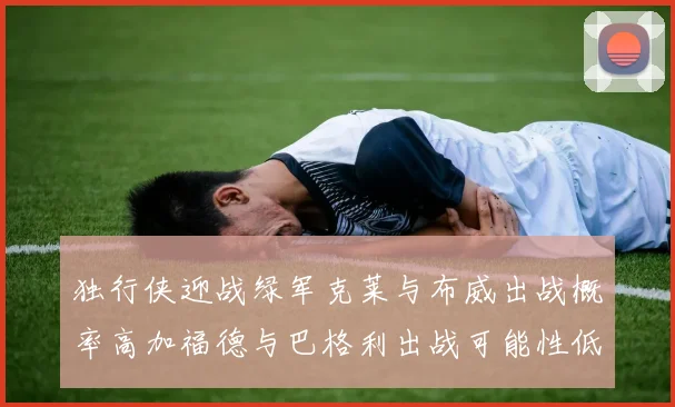 独行侠迎战绿军克莱与布威出战概率高加福德与巴格利出战可能性低